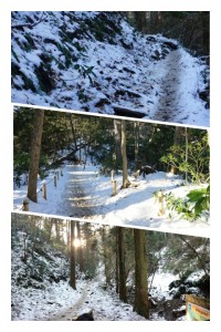 Mt. Takao - Trails