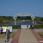 Hitachi Seaside Park 01