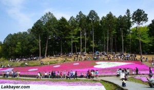 Hitsujiyama Park 03