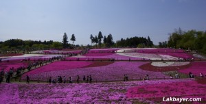 Hitsujiyama Park 04