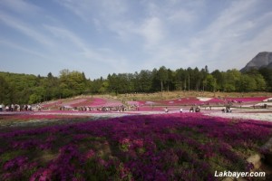 Hitsujiyama Park 08