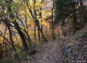 Okutama Autumn Hike - rocky mountain trail