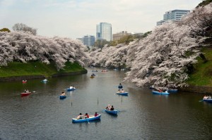 Chidorigafuchi