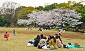 Kitanomaru Park