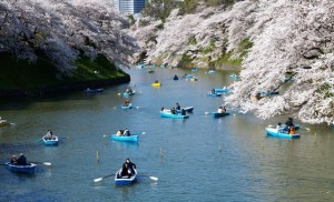 Chidorigafuchi boating area