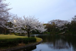 Kitanomaru Park