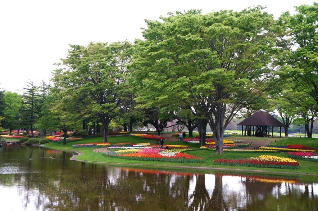 Showakinen Flower Festival 2014