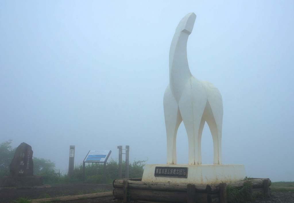 Mt. Jinba - Concrete White Horse