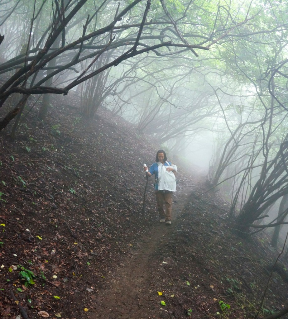 Mt. Jinba - hike with stick