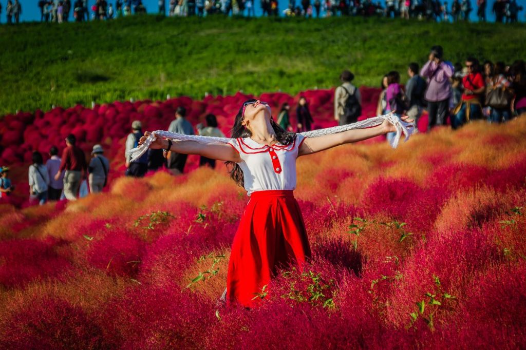 Autumn 2014: Hitachi Seaside Park 04