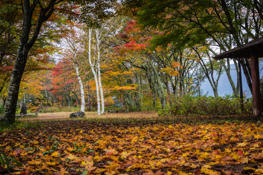 Autumn 2014: Kawaguchiko 11