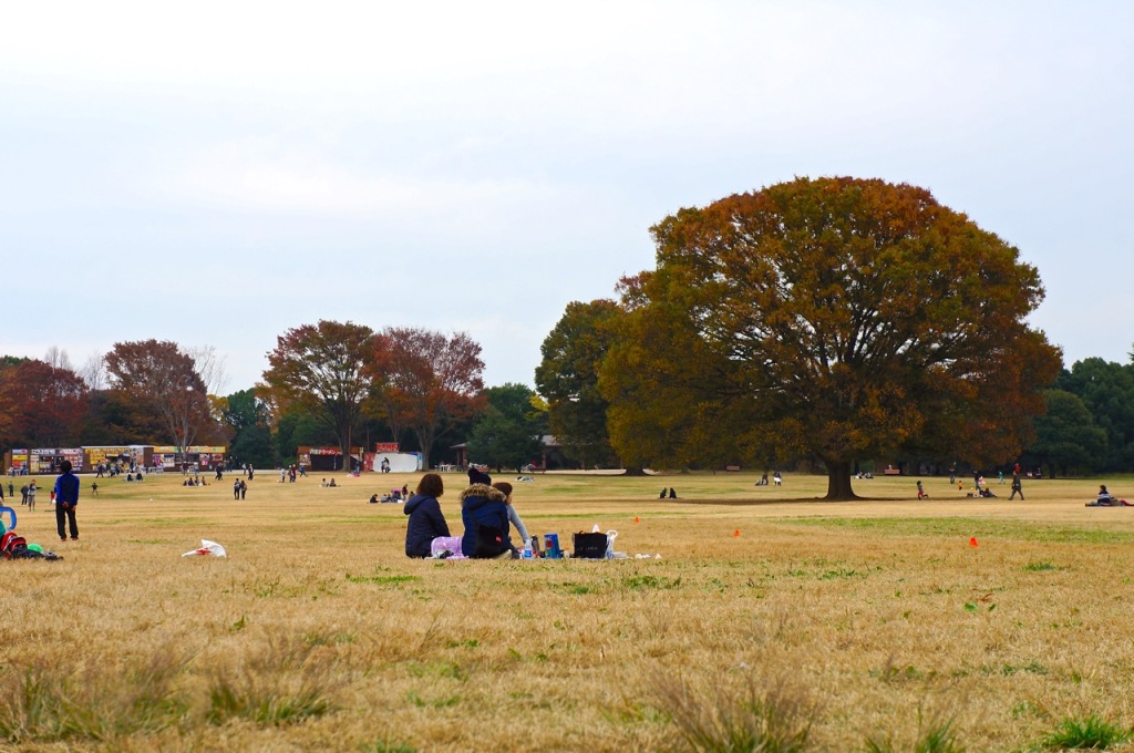 Showakinen Park Autumn 2014 - 05