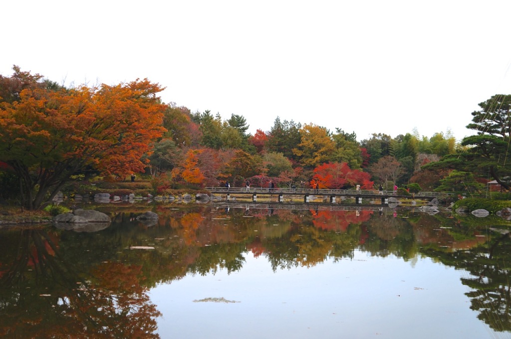 Showakinen Park Autumn 2014 - 13
