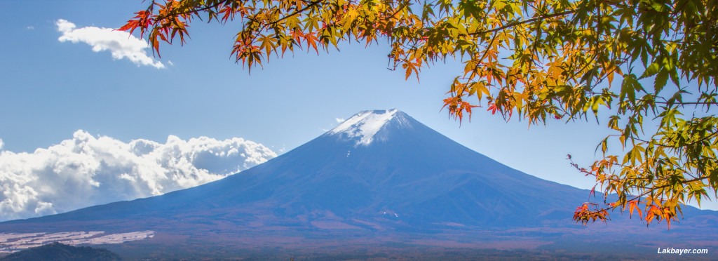 Chureito_Pagoda01