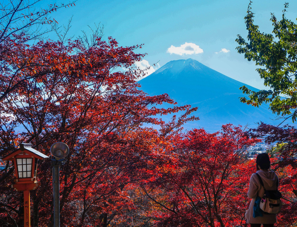 Chureito_Pagoda06