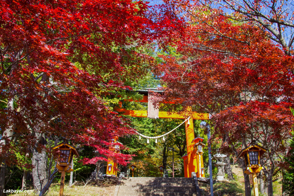 Chureito_Pagoda03