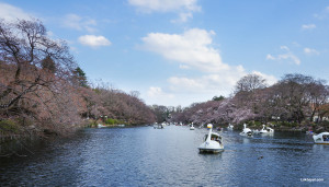 Inokashira_Park_01