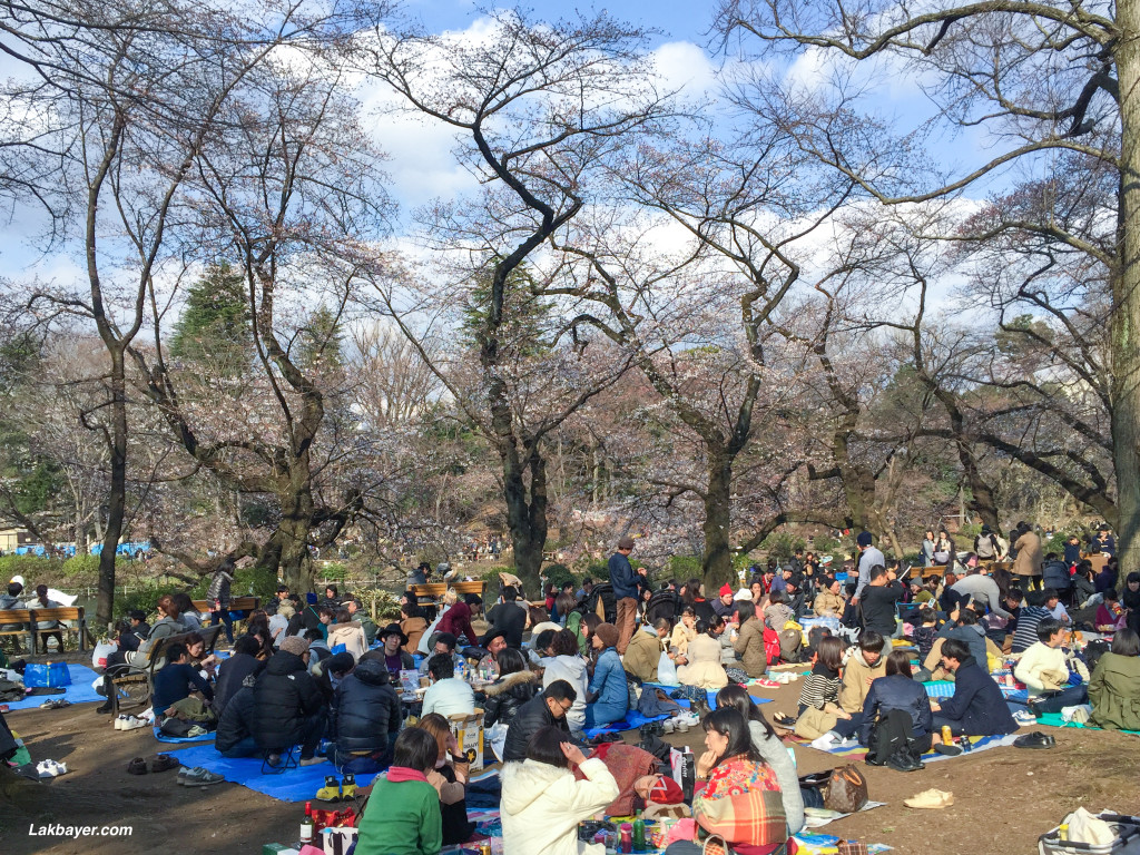 Inokashira_Park_03