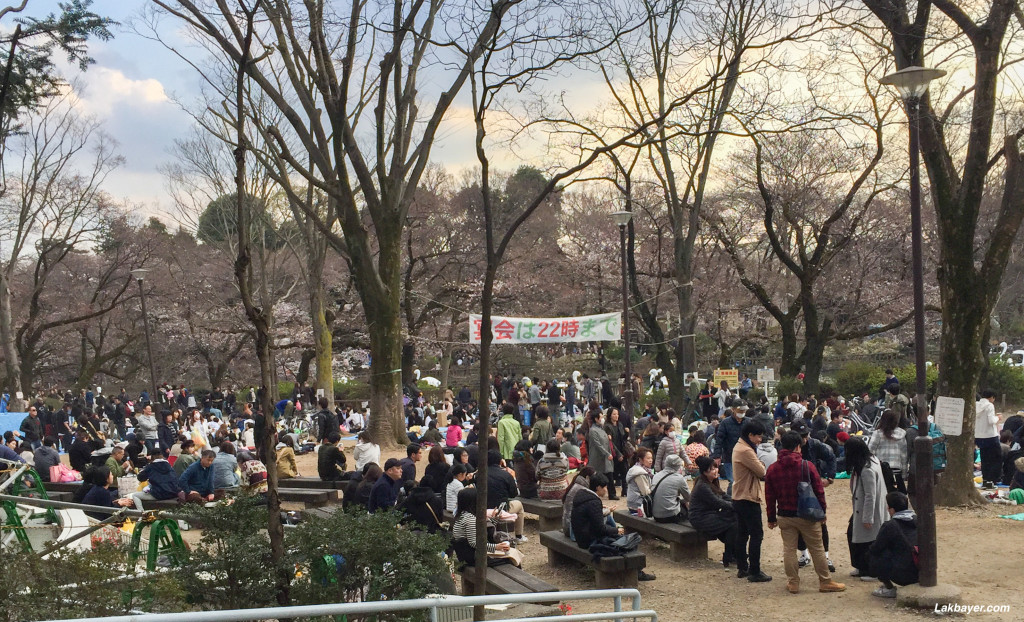 Inokashira_Park_06