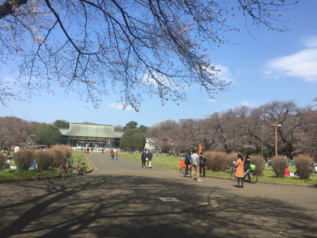 Koganei_Park_01