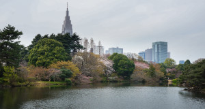 Shinjuku_Gyoen_01