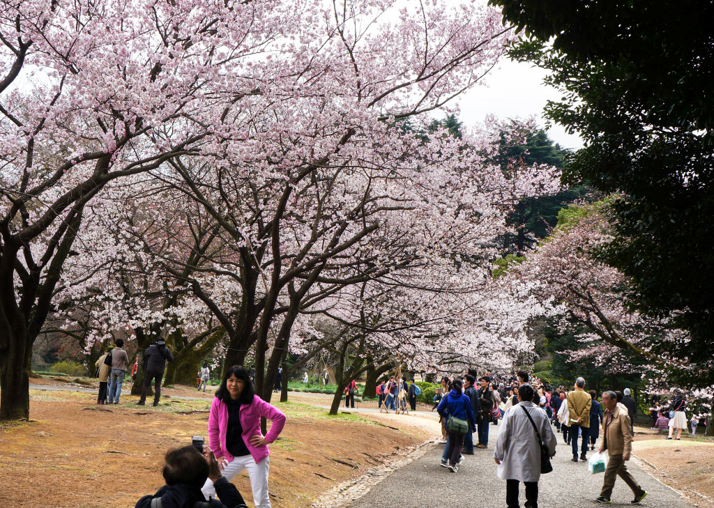 Shinjuku_Gyoen_03