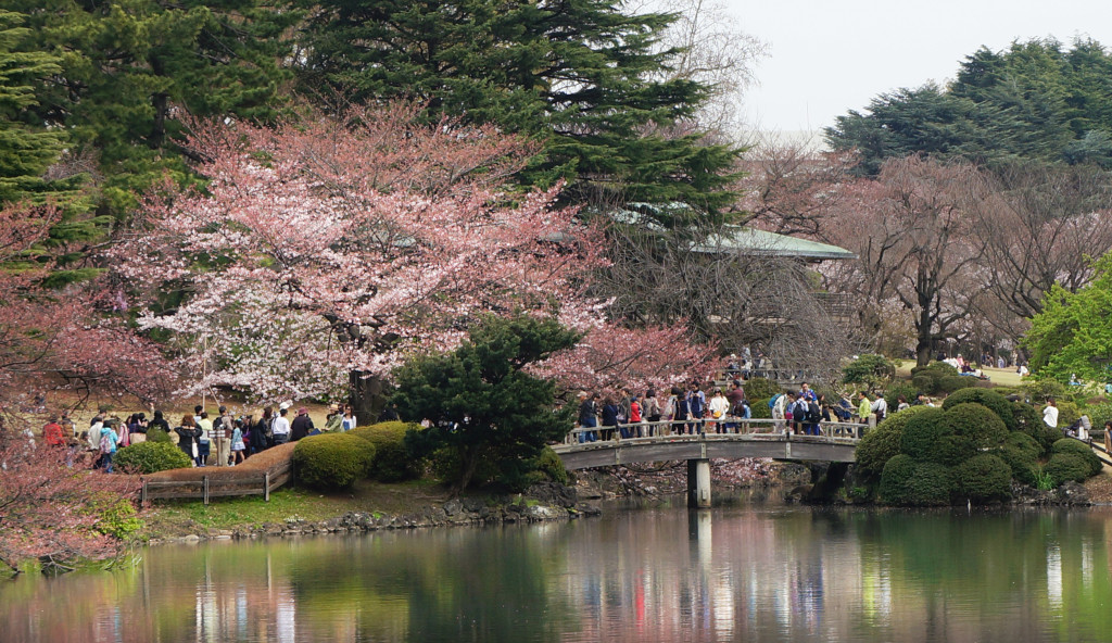 Shinjuku_Gyoen_06