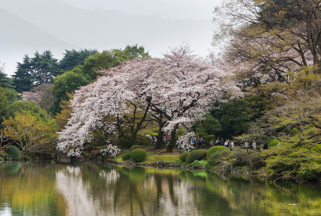 Shinjuku_Gyoen_07