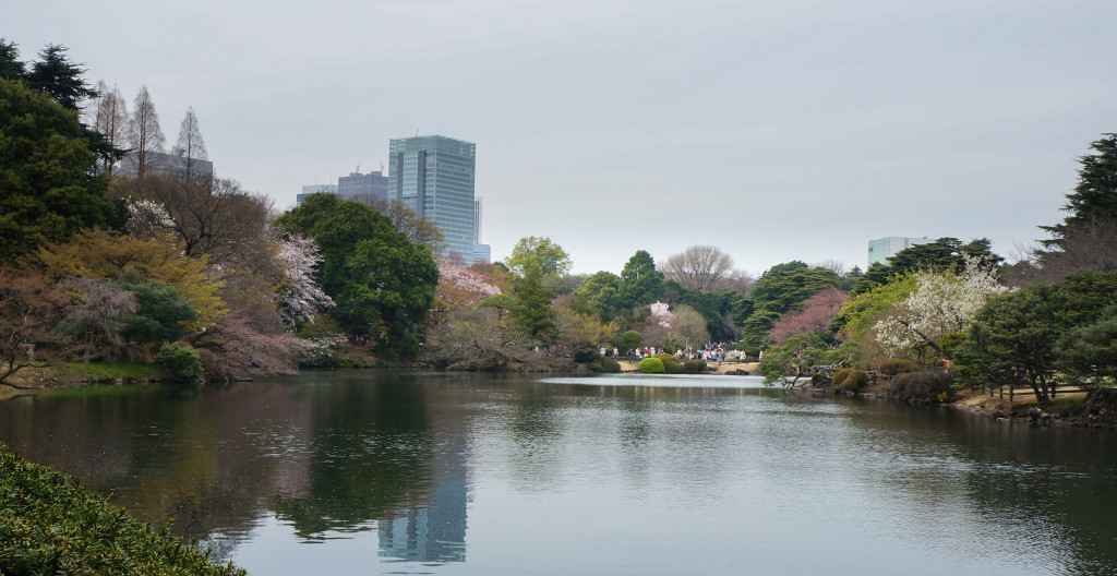 Shinjuku_Gyoen_09