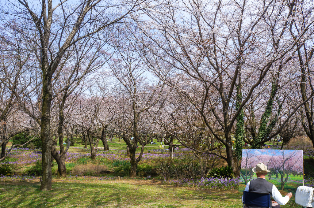 Showa_Kinen_Park_09