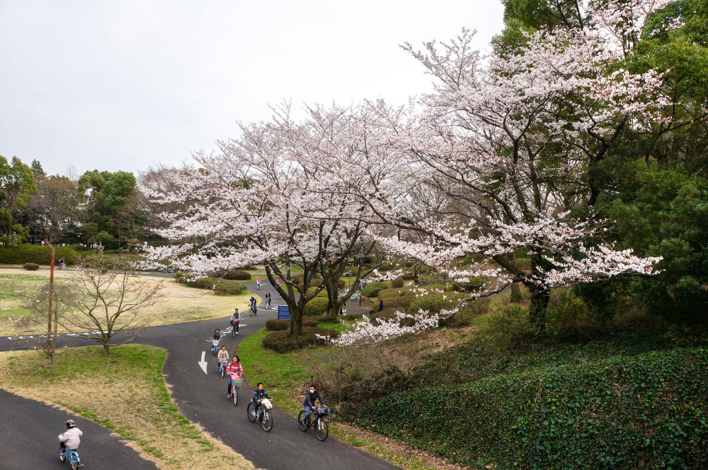 Showa_Kinen_Park_04