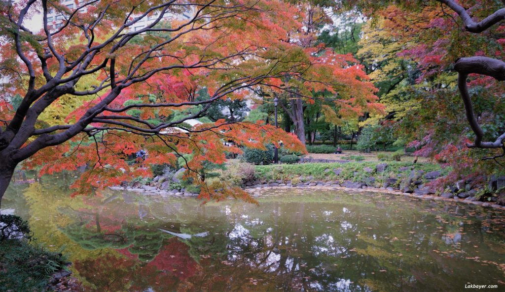 autumn2016-hibiya_park04