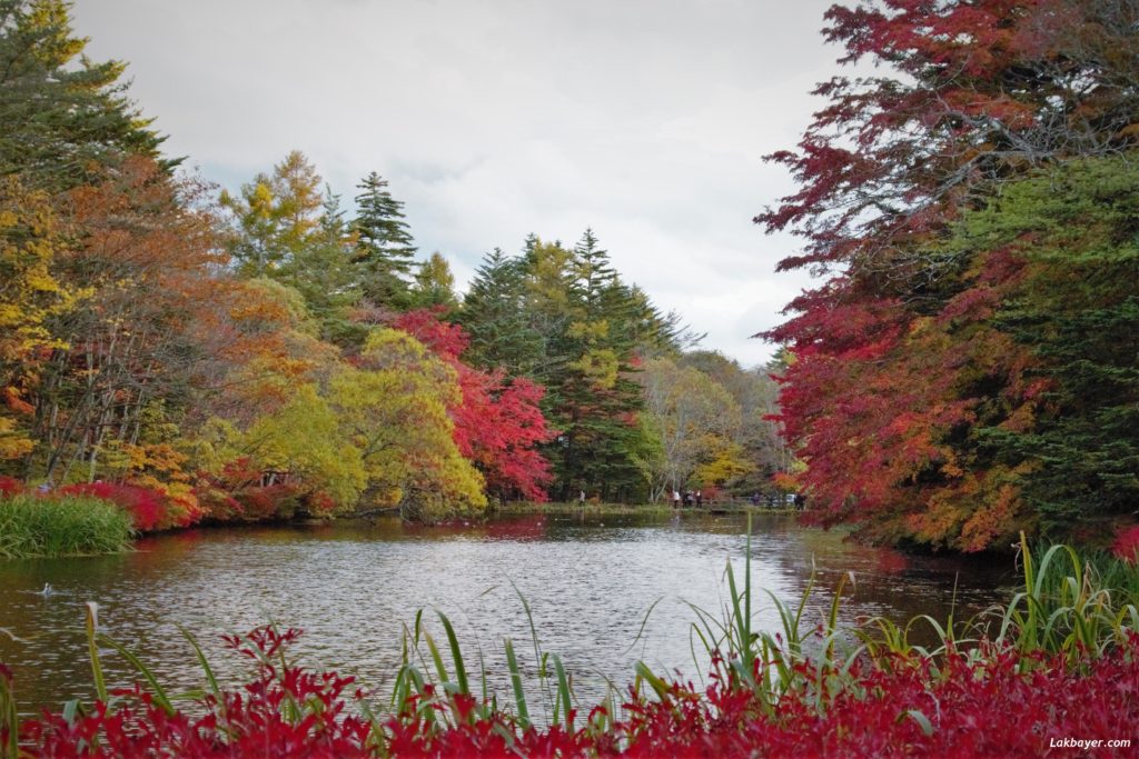 autumn2016_karuizawa04