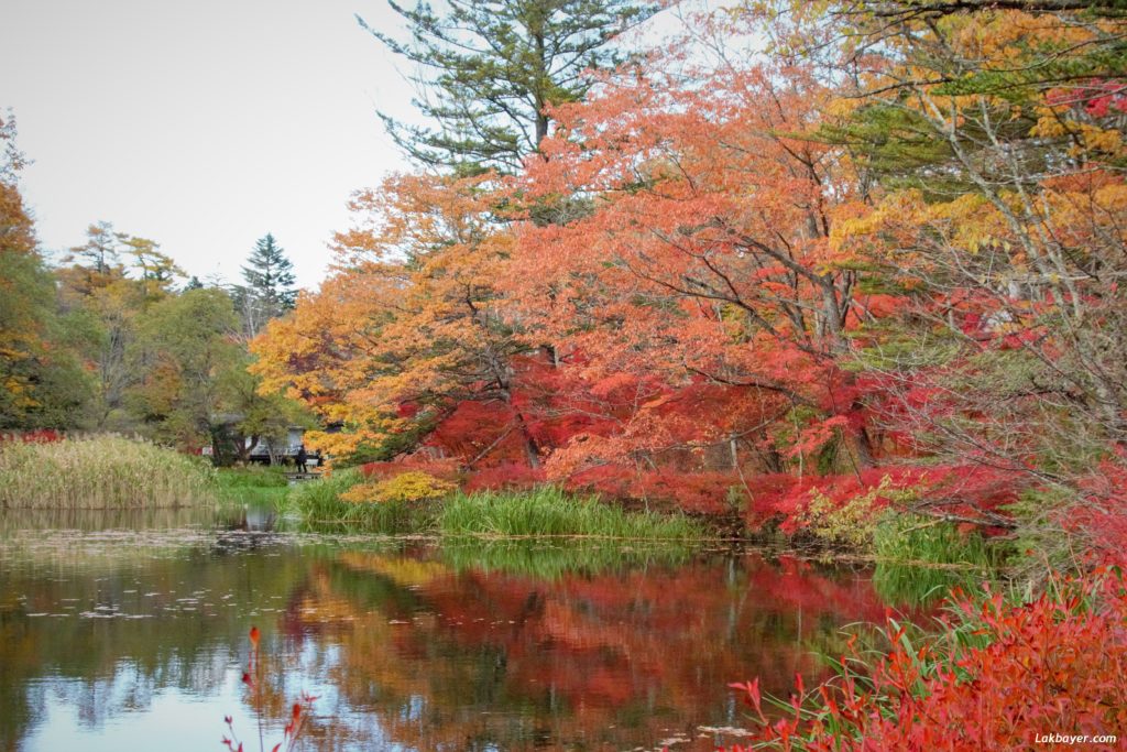 autumn2016_karuizawa06