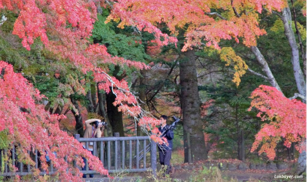 autumn2016_karuizawa09