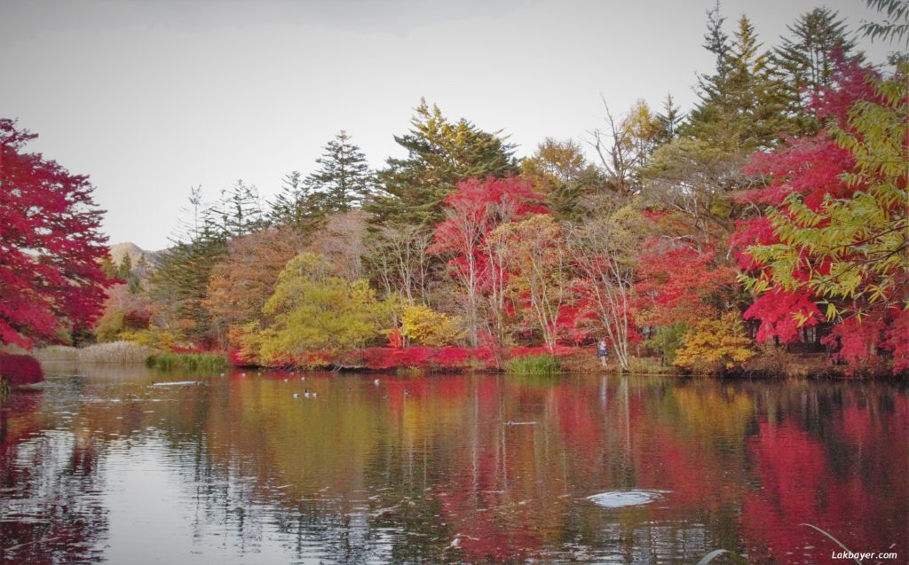 autumn2016_karuizawa10