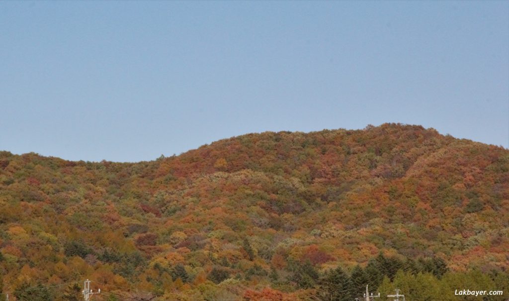 Autumn2016_Karuizawa01