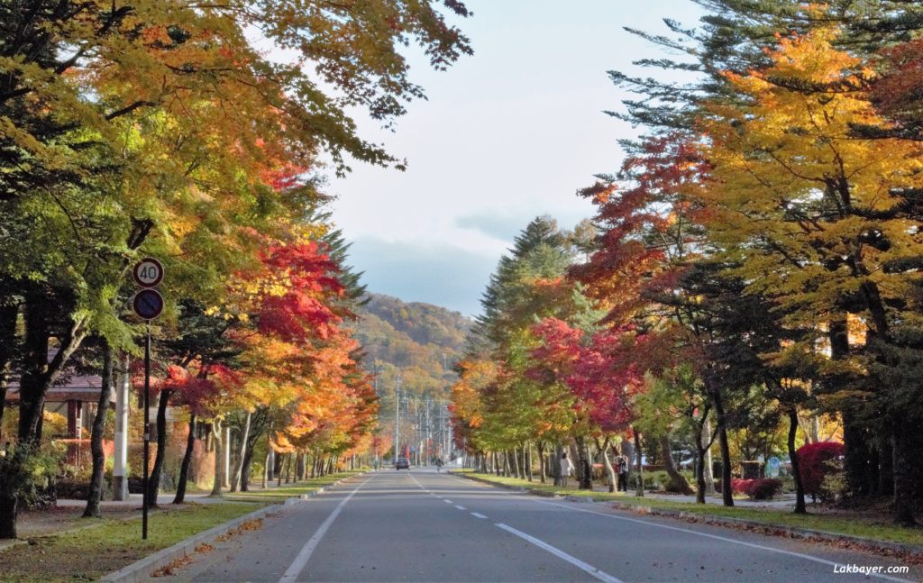 Autumn2016_Karuizawa02