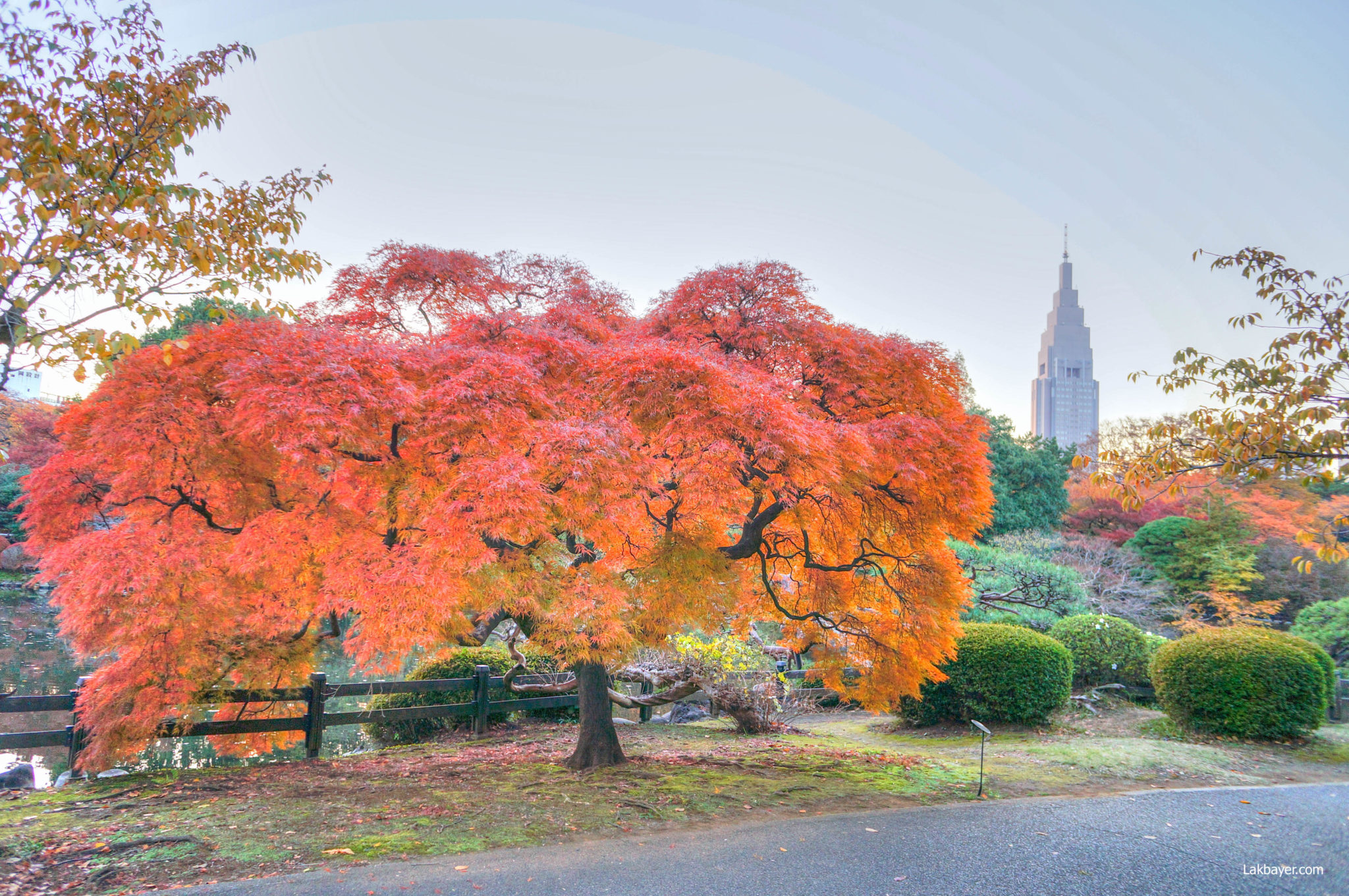 Autumn 2013: Shinjuku Gyoen National Garden – Lakbayer