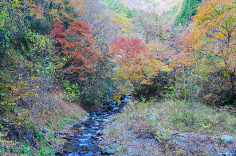 Autumn 2013: Okutama Autumn Hike – Mukashi-michi Route – Lakbayer