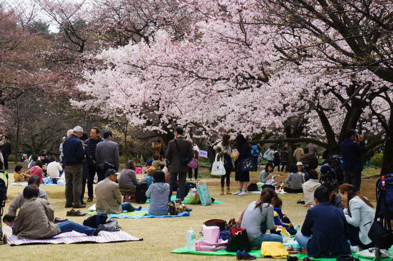 Sakura 2016: Shinjuku Gyoen – Lakbayer