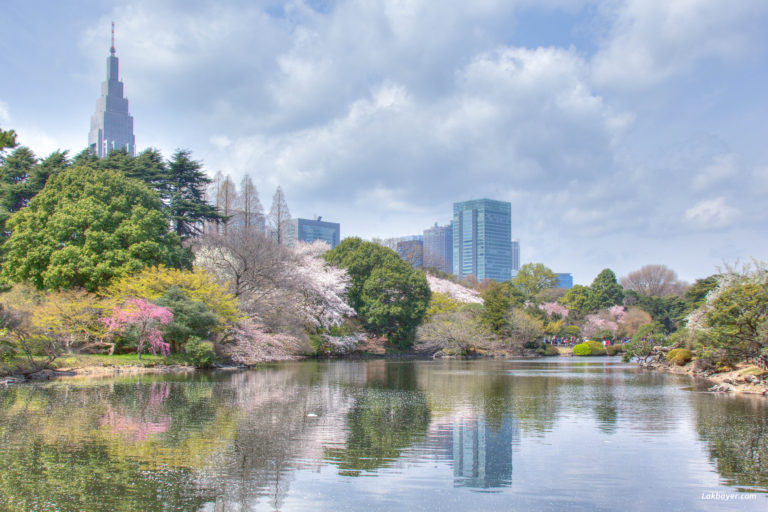 Shinjuku Gyoen – Lakbayer