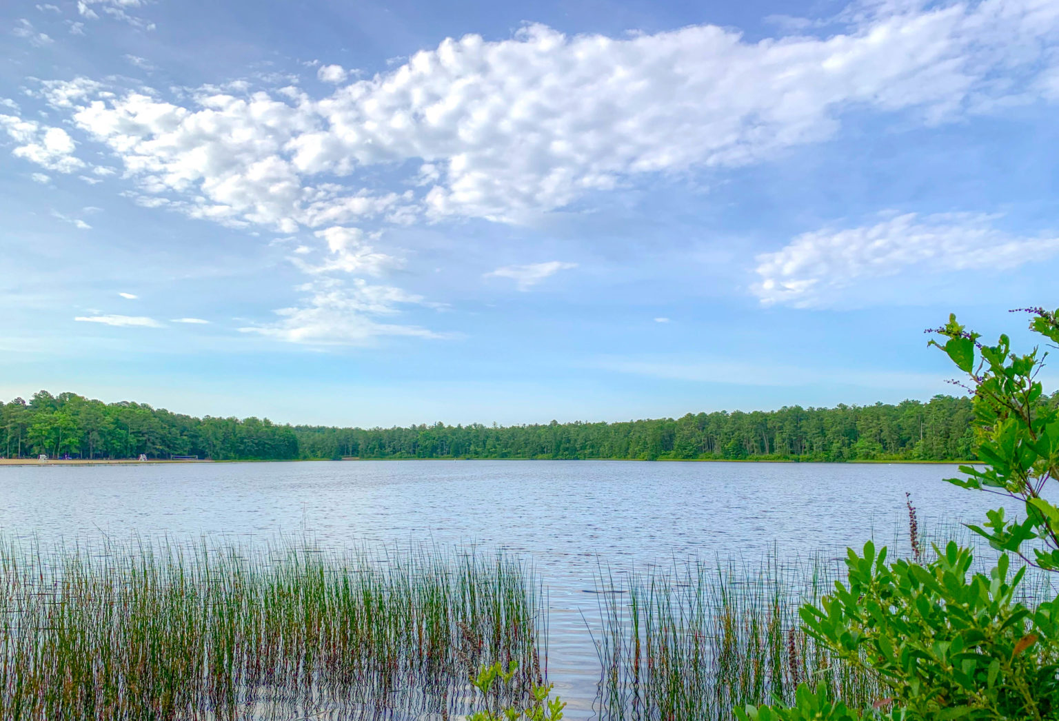 Summer Camping: Bass River State Forest – Lakbayer